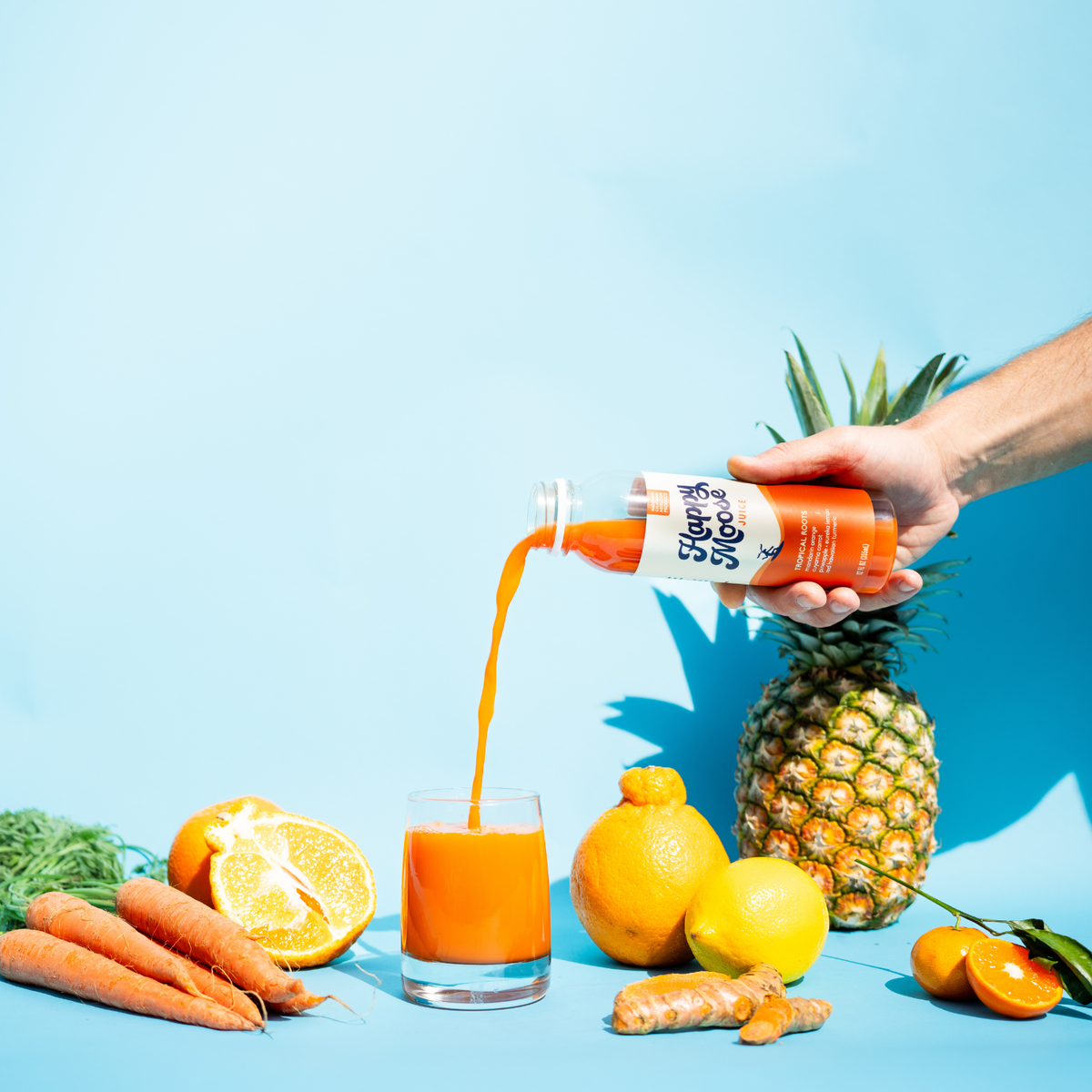 Best Sellers - Cold-Pressed Juice - 6 Recipes x 6 Bottles